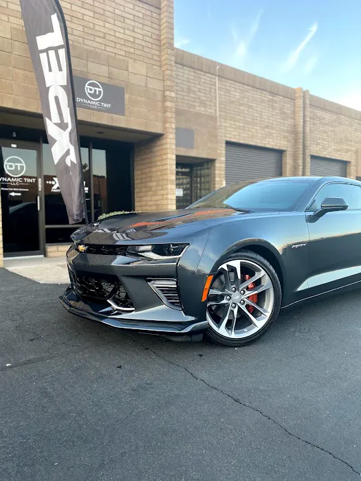 Dynamic Tint 5