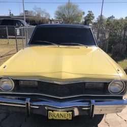 Fineline Vehicle Tint and Vinyl Wraps ico