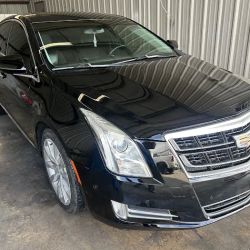 Pedro collision center ico