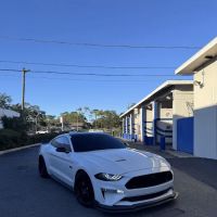 Fat Body Performance