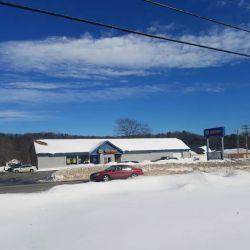 NAPA Auto Parts ico