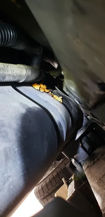 Scott Fricks Automotive 2