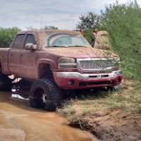 Lacey Automotive/M&M motors