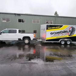 GoMobile Tires Willamette Valley ico