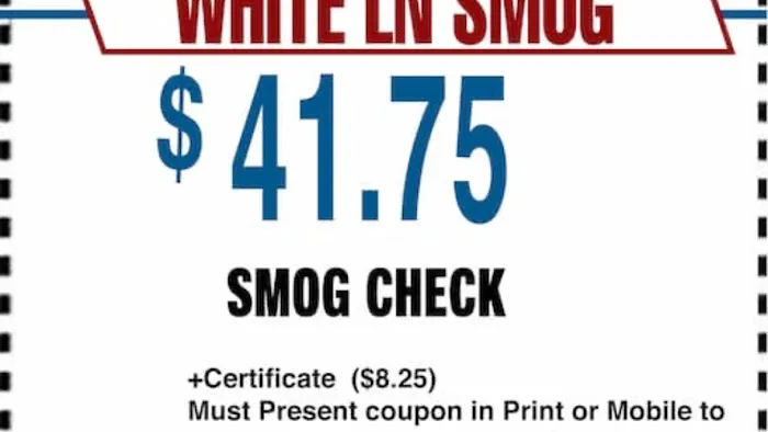 White Ln Smog Check 5