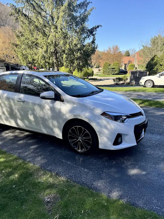 Forest Automotive Inc 1