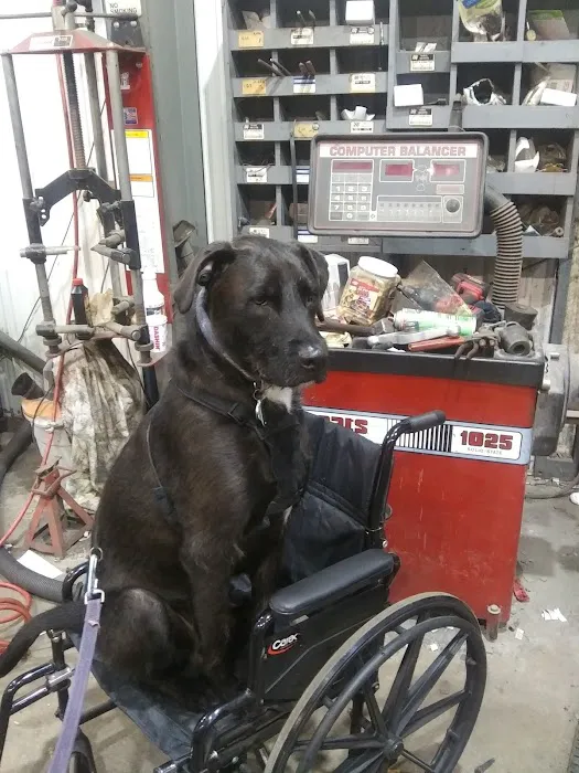 Auto Spa 0