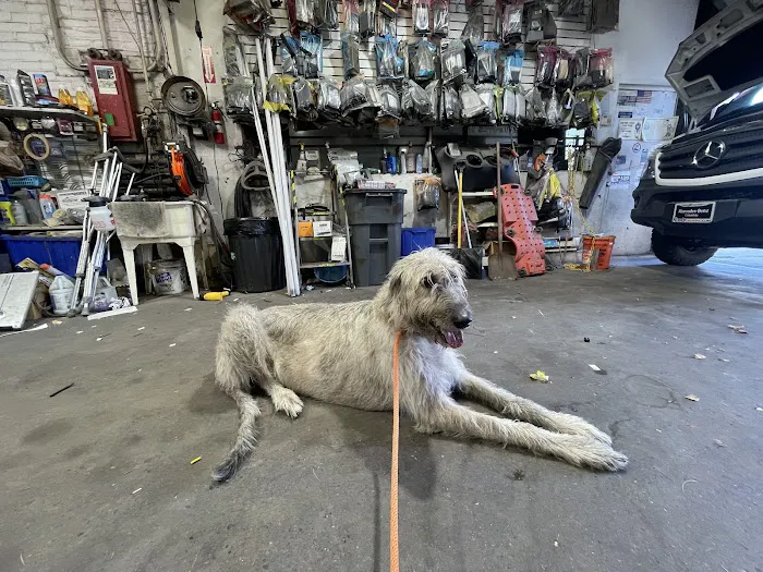 Alarm & Tint Specialist 4