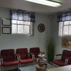 Magnolia AutoBody ico