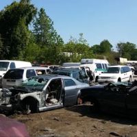 LaPollo's Auto Parts