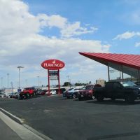 Flamingo Collision Center