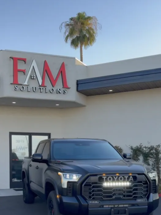 FAM Solutions LV 9