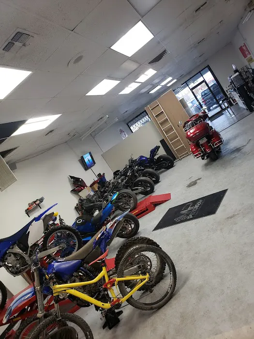 Moto Monkeyz 5