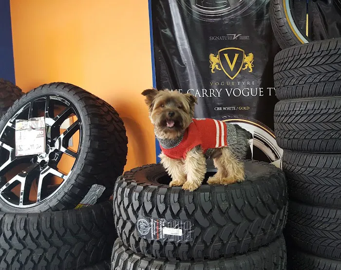 RimTyme Custom Wheels and Tires 1