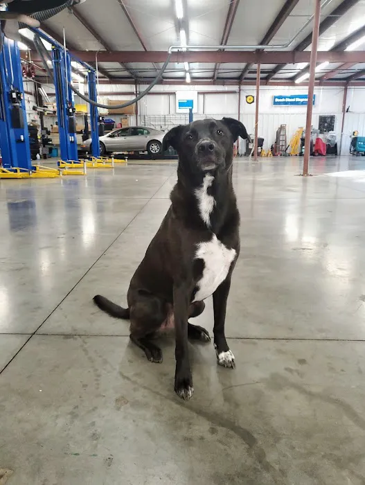 Schmidt Auto Care 9