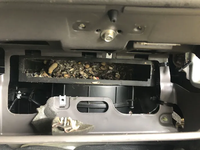 Valvoline Instant Oil Change 8