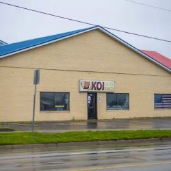 KOI Auto Parts (Fisher Auto Parts) ico