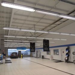 White's Toyota Service ico