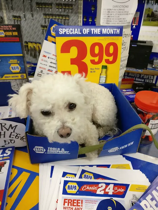 NAPA Auto Parts - Hall's Auto Parts Co 0