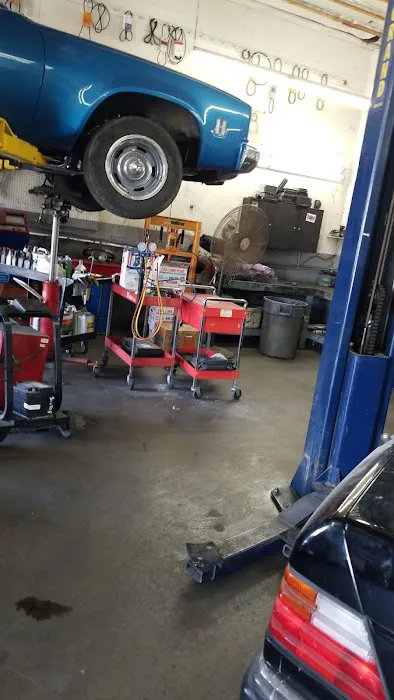 CityStar Autos 5
