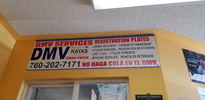 Raya's Smog Check 4