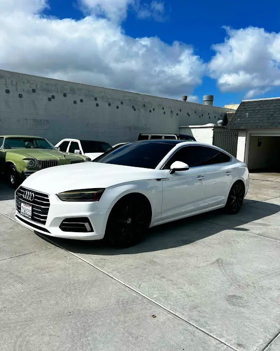 DSpot Tint Shop 6