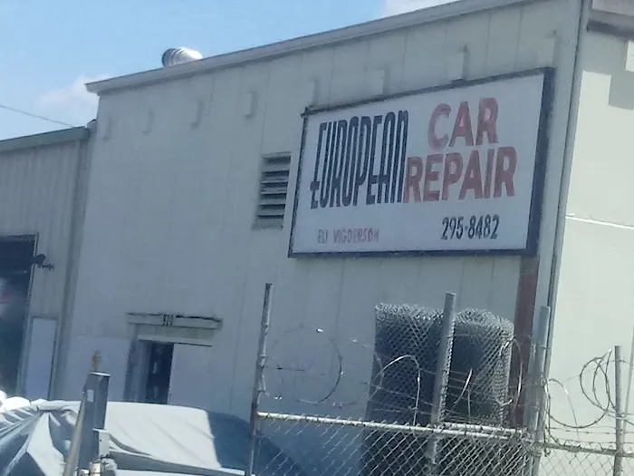 Eli Vigderson European Car Repair 1