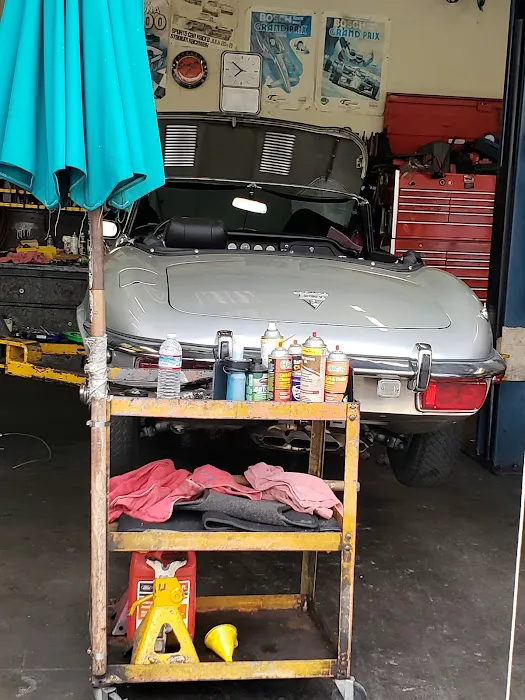 Eli Vigderson European Car Repair 0