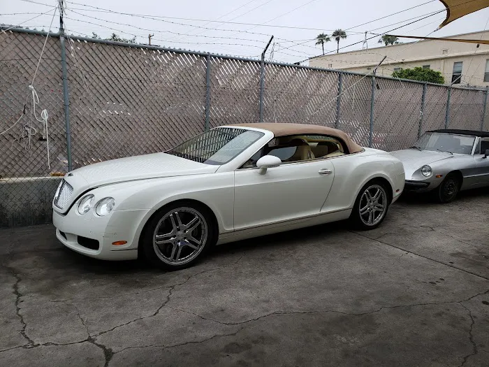 Eli Vigderson European Car Repair 4