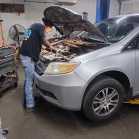 Bear Automotive & Transmission Shop