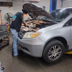 Bear Automotive & Transmission Shop ico
