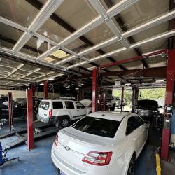 O'Reilly Auto Parts ico