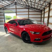 B&B window tinting