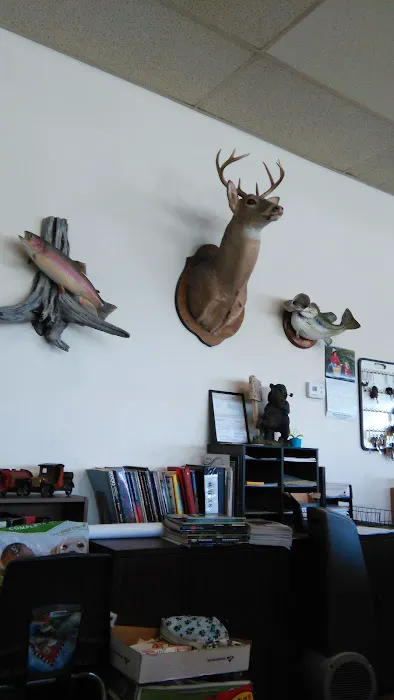 North Jackson Tire Auto Service Center 1