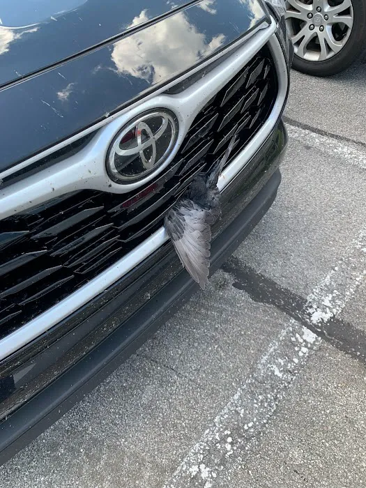 AutoZone Auto Parts 8