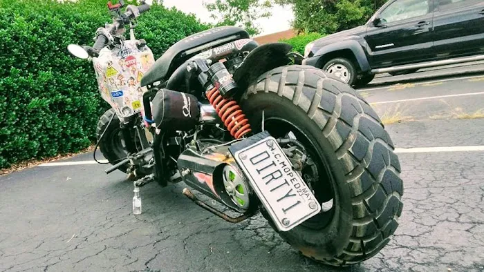 A Touch of Ruckus 2