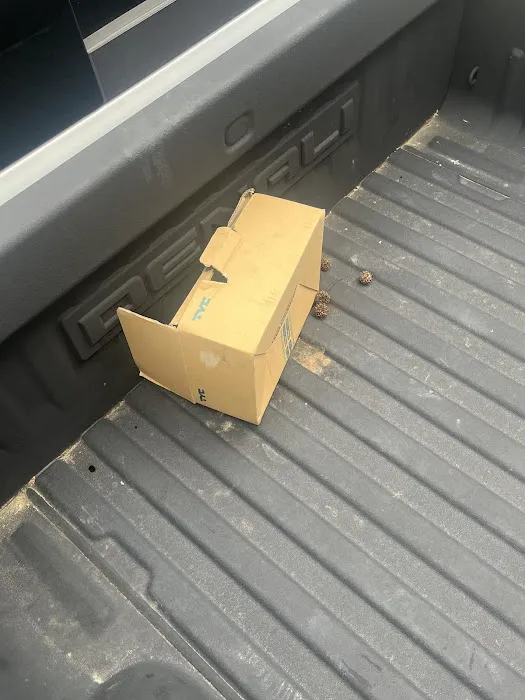 Caliber Collision 1