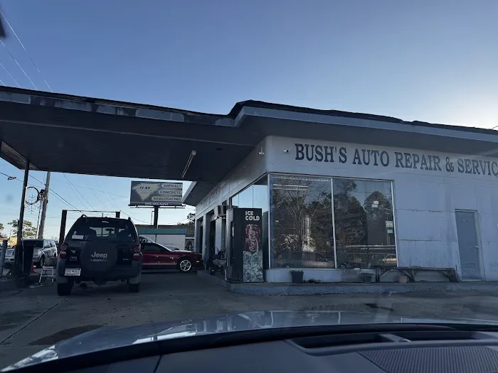 Bush's BP 0