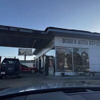 Bush's BP