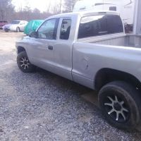 Cook's Collision and Customs