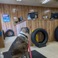 Tire Discounters