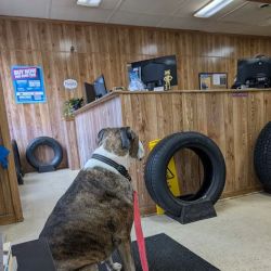 Tire Discounters ico