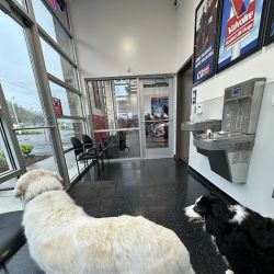 Valvoline Instant Oil Change ico