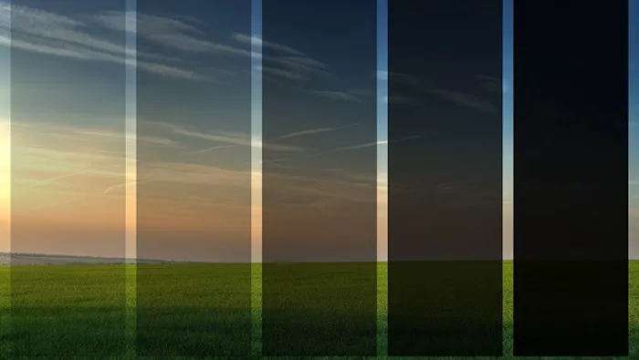 ASP Window Tinting 6