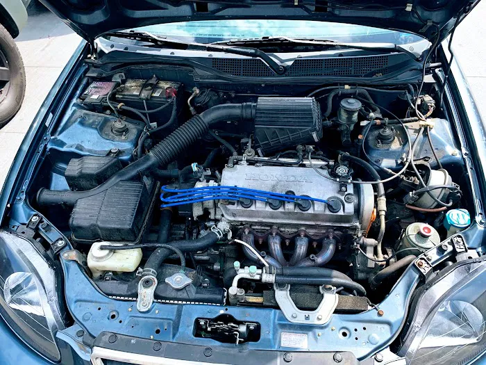 Elite Automotive 9