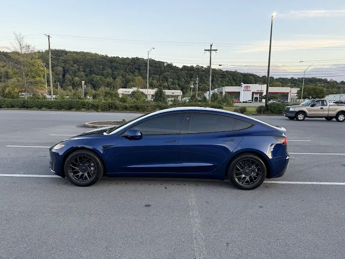 Pro Tint 2