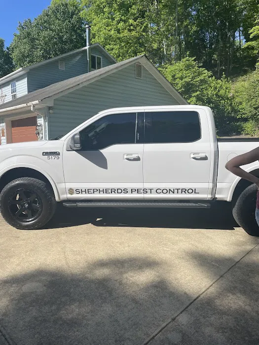 Pro Tint 4