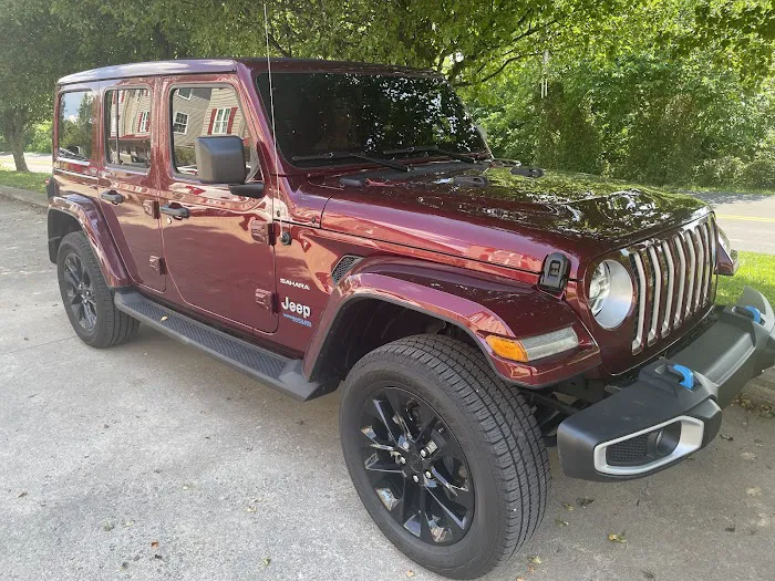 Pro Tint 1