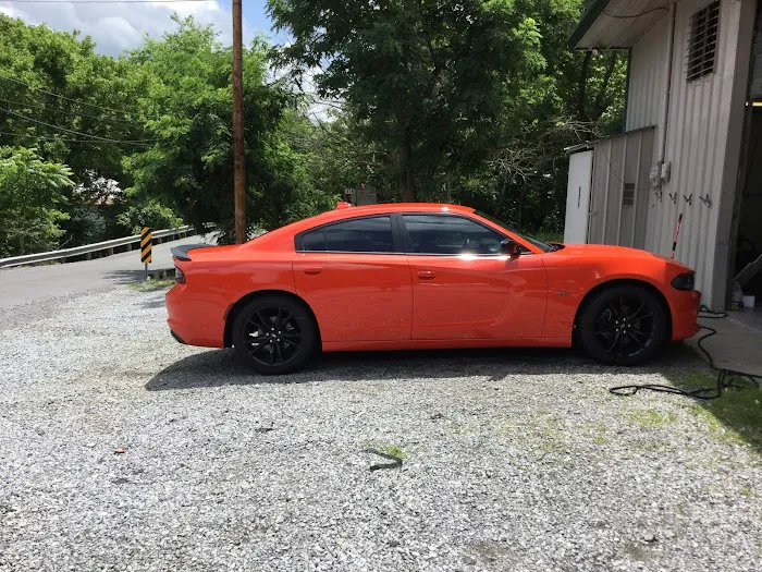 Pro Tint 7