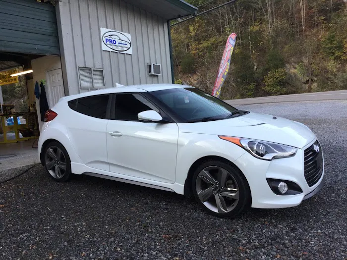 Pro Tint 8